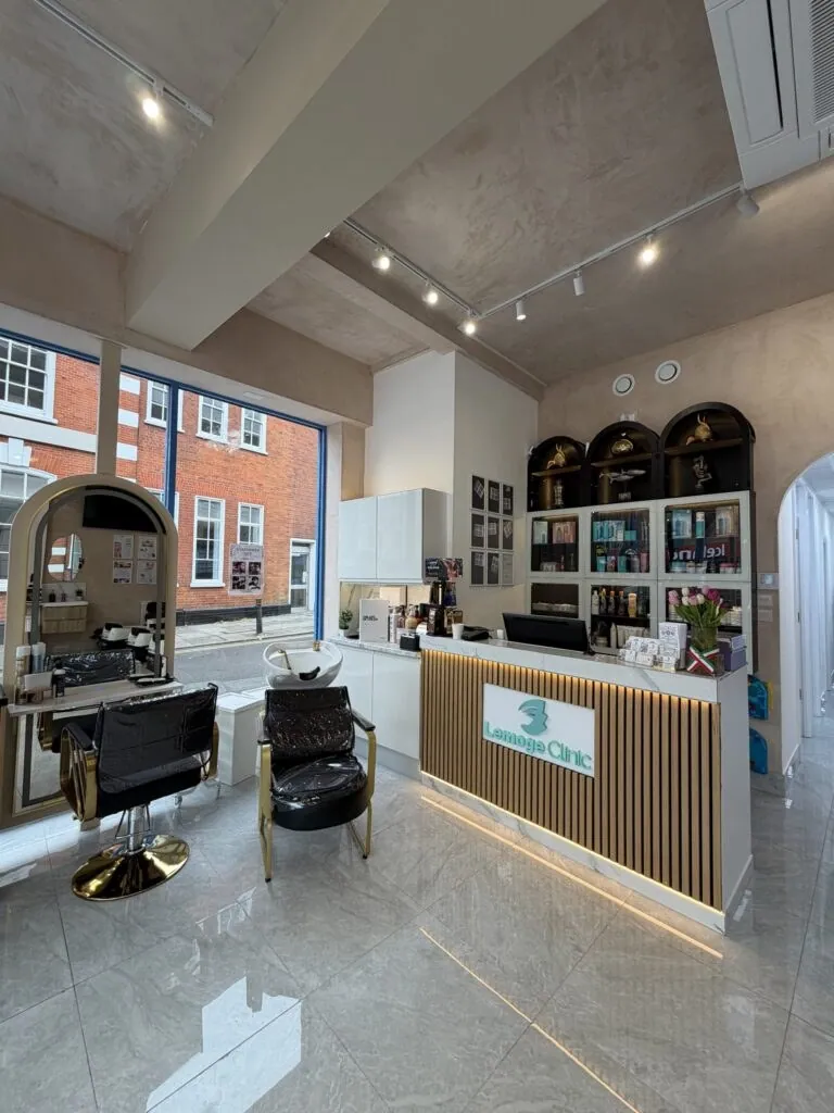 Reception desk and washbasin at Lemoge High Barnet